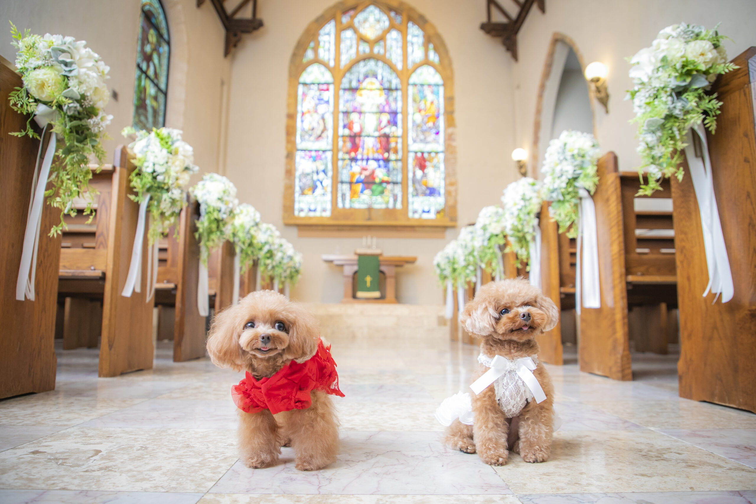ペットと一緒に過ごせる結婚式♪】貸切邸宅×スイーツ試食付き